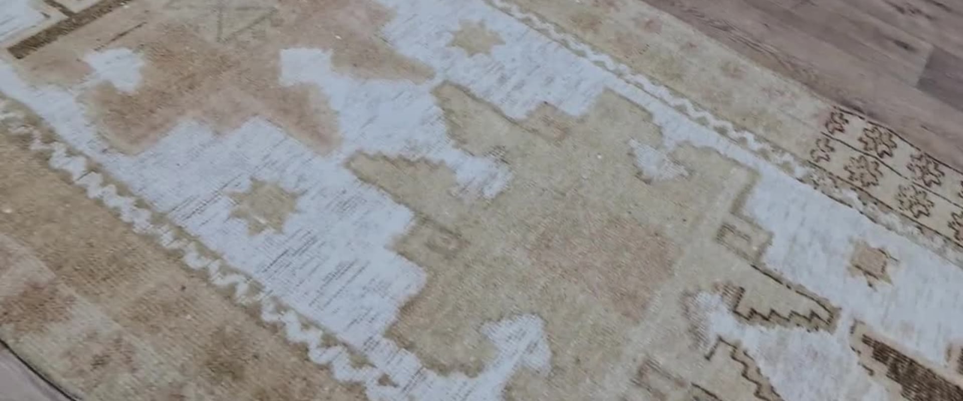 tapijtreinigingsbedrijf